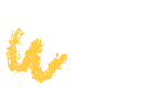 img-2.png