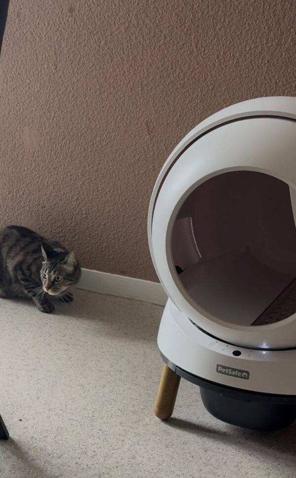 Pack litière automatique + sacs + désodorisant PETSAFE