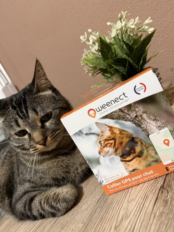 Collier GPS pour Chats WEENECT XS